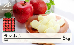 サンふじは、袋をかけずに太陽の光を浴びたふじりんごのことを指します。甘味が多く、りんご本来のコクのある味に仕上がります。■特徴山形連携中枢都市圏についてこちらの返礼品は山形連携中枢都市圏における共通返
