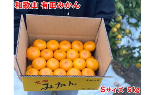 【秀品・サイズＳ】まる隆果樹園　和歌山有田産！早生みかん≪5ｋｇ≫【予約販売】【数量限定】 199882 - 和歌山県有田川町