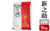 [令和7年産新米]新之助 白米 5kg 新潟米 しんのすけ[Y0470]