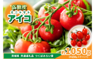 高糖度ミニトマト　アイコ　約150g×7pc　県内共通返礼品つくばみらい市産 (BR173)