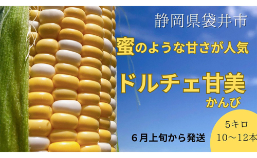 【 先行予約 】リピーター続出！ とうもろこし 【 ドルチェ甘美 】約5kg 10～12本 トウモロコシ 甘い 野菜 採れたて 朝採り 農家直送 袋井市 静岡県 1998916 - 静岡県袋井市