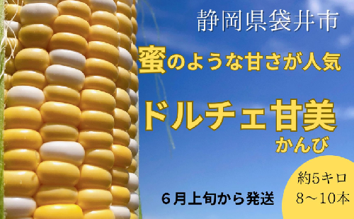【 先行予約 】リピーター続出！ とうもろこし 【 ドルチェ甘美 】約5kg 8～10本 トウモロコシ 甘い 野菜 採れたて 朝採り 農家直送 袋井市 静岡県 1998916 - 静岡県袋井市