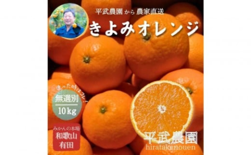 農家直送！きよみオレンジ 10kg 無選別≪秀品・訳あり品・サイズ混合≫［平武農園］～蛍飛ぶ町から旬の便り～［2026年3月下旬から順次発送予定］ 199901 - 和歌山県有田川町
