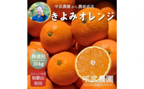 農家直送！きよみオレンジ 10kg 無選別≪秀品・訳あり品・サイズ混合≫［平武農園］～蛍飛ぶ町から旬の便り～［2026年3月下旬から順次発送予定］ 199901 - 和歌山県有田川町