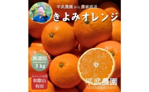 農家直送！きよみオレンジ 3kg 無選別≪秀品・訳あり品・サイズ混合≫［平武農園］～蛍飛ぶ町から旬の便り～［2026年3月下旬から順次発送予定］ 199903 - 和歌山県有田川町