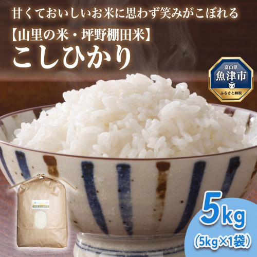 山の湧き水 寒暖差 山里 山里の米・坪野米 R8年産 こしひかり 5kg　※北海道・沖縄・離島への配送不可 ※2026年10月～発送 1999150 - 富山県魚津市