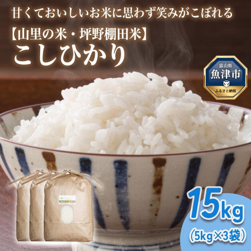 山の湧き水 寒暖差 山里 山里の米・坪野米 R8年産 こしひかり 15kg　※北海道・沖縄・離島への配送不可 ※2026年10月～発送 1999179 - 富山県魚津市