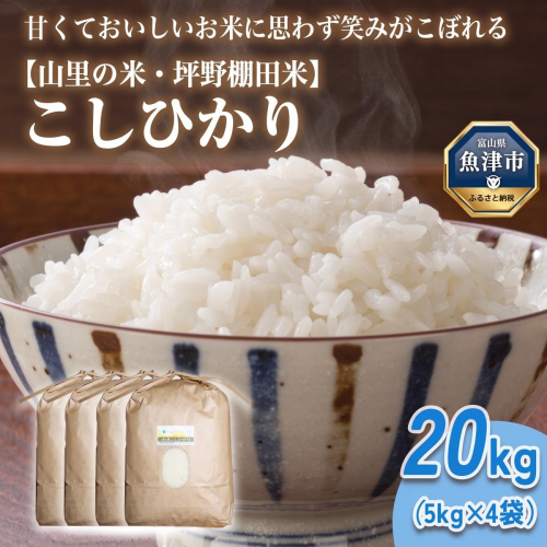 山の湧き水 寒暖差 山里 山里の米・坪野米 R8年産 こしひかり 20kg　※北海道・沖縄・離島への配送不可 ※2026年10月～発送 1999180 - 富山県魚津市