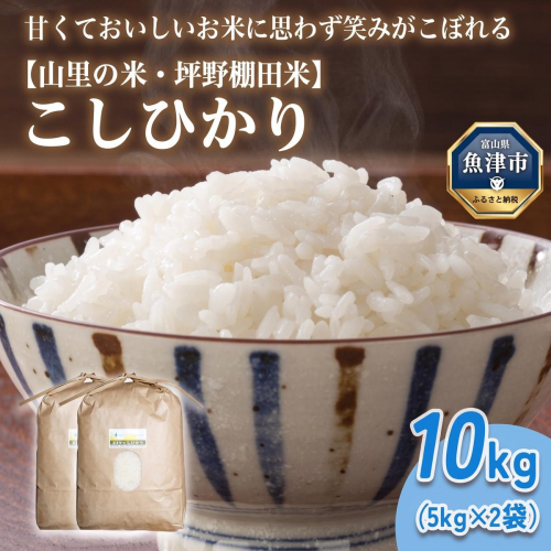 山の湧き水 寒暖差 山里 山里の米・坪野米 R8年産 こしひかり 10kg　※北海道・沖縄・離島への配送不可 ※2026年10月～発送 1999181 - 富山県魚津市