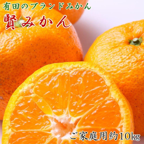 有田のブランド「賢みかん」約10kg サイズ混合 ご家庭用【2025年11月中旬頃より順次発送】 1999231 - 和歌山県有田川町