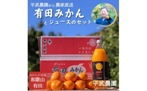 農家直送！有田みかん（約3kg家庭用≪秀品・訳あり品・サイズ混合≫）とジュースのセット 平武農園 ～蛍飛ぶ町から旬の便り～ 199943 - 和歌山県有田川町