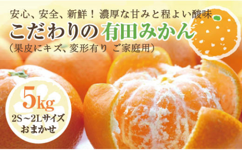 こだわりの有田みかん　ご家庭用５kg 199948 - 和歌山県有田川町