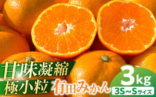 完熟 小粒 有田みかん 3kg 甘味凝縮 和歌山県産 産直45年 武内園 有田みかん みかん 濃厚有田みかん 濃厚みかん みかん 小粒みかん 小さいみかん みかん オレンジロードYY 産直 みかん 和歌山みかん 和歌山県産みかん みかん みかん 有田みかん 数量限定 199956 - 和歌山県有田川町