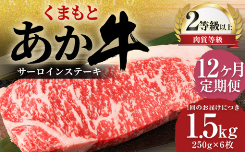 【12ヶ月定期便】 くまもと あか牛 サーロイン 1.5kg（250g×6枚） 牛肉 牛 肉 1999629 - 熊本県益城町