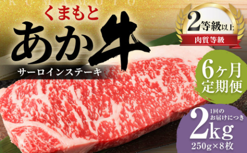 【6ヶ月定期便】くまもとあか牛 サーロイン 2.0kg（250g×8枚） 牛肉 牛 肉 1999642 - 熊本県益城町