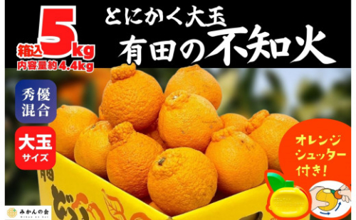 不知火 大玉 どっこいしょ 箱込 5kg (内容量約 4.4kg) 秀優混合 和歌山県産 【みかんの会】 199972 - 和歌山県有田川町