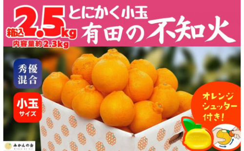 不知火 とにかく 小玉 箱込 2.5kg (内容量約 2.3kg) 秀優品混合 和歌山県産 産地直送［みかんの会］ 199975 - 和歌山県有田川町