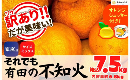 不知火 訳あり それでも 有田の不知火 箱込 7.5kg(内容量約 6.8kg) サイズミックス 和歌山県産 産地直送［みかんの会］ 199976 - 和歌山県有田川町