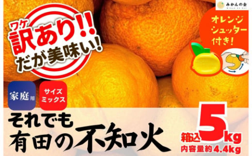 不知火 訳あり それでも 有田の不知火 箱込 5kg(内容量約 4.4kg) サイズミックス 和歌山県産 産地直送［みかんの会］ 199977 - 和歌山県有田川町