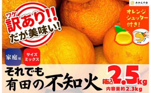 不知火 訳あり それでも 有田の不知火 箱込 2.5kg (内容量約 2.3kg) サイズミックス 和歌山県産 産地直送［みかんの会］ 199978 - 和歌山県有田川町