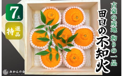 不知火 古豪の産地 田口の不知火 7玉木箱入 特選品 産地直送 贈答用 数量限定［みかんの会］ 199979 - 和歌山県有田川町