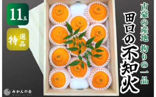 不知火 古豪の産地 田口の不知火 11玉木箱入 特選品 産地直送 贈答用 数量限定［みかんの会］ 199980 - 和歌山県有田川町