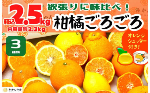 旬の柑橘食べ比べ 柑橘ごろごろ 3種 箱込 2.5kg(内容量 2.3kg) 秀品 優品 混合 和歌山県産 産地直送 【おまけ付き】【みかんの会】 199984 - 和歌山県有田川町