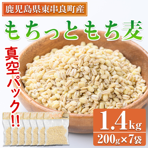 【0115915a】物産館おススメ！もちっともち麦(計1.4kg・200g×7袋) 鹿児島県産 もちむぎ もち麦 もち麦ごはん 常温 常温保存 【東串良物産館ルピノンの里】 1999951 - 鹿児島県東串良町