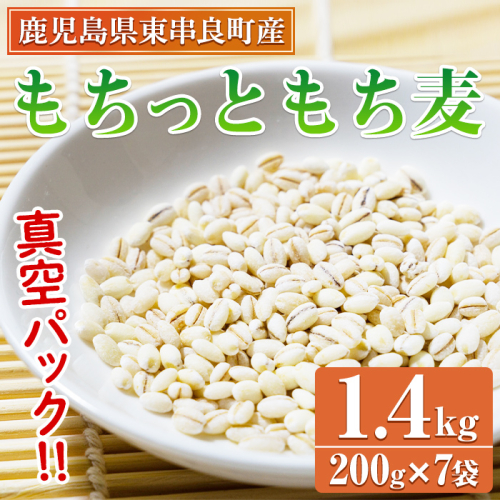 【0115915a】物産館おススメ！もちっともち麦(計1.4kg・200g×7袋) 鹿児島県産 もちむぎ もち麦 もち麦ごはん 常温 常温保存 【東串良物産館ルピノンの里】 1999951 - 鹿児島県東串良町