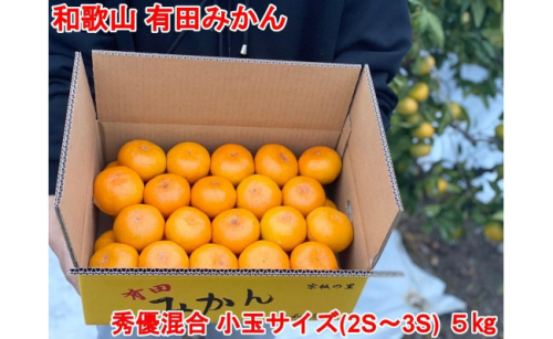 ［小玉サイズ(３Ｓ・２Ｓ）・秀／優混合］まる隆果樹園　和歌山有田産！早生みかん≪5kg≫［予約販売］［数量限定］ 200032 - 和歌山県有田川町