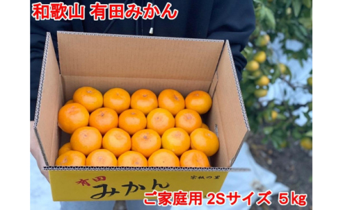 ［ご家庭用・サイズ２Ｓ］早生みかん≪5kg≫和歌山有田産！［予約販売］［数量限定］まる隆果樹園 200034 - 和歌山県有田川町