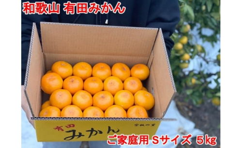 【ご家庭用・サイズＳ和歌山有田産！早生みかん≪5kg≫【予約販売】【数量限定】まる隆果樹園　 200035 - 和歌山県有田川町