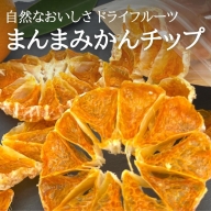 ドライフルーツ みかんチップ 100g ( 20g × 5袋 ) 和歌山県産 果物使用 自社製造 【みかんの会】