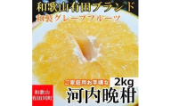 [有田川町]河内晩柑 2kg 和製グレープフルーツ ブラン 和歌山 ブランド 有田みかん ご家庭用