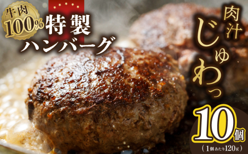 牛肉100％ 特製ハンバーグ 120g×10個 個包装 005A660 2000862 - 大阪府泉佐野市