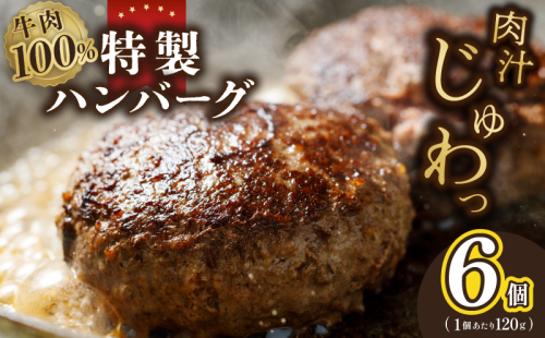 【特別規格】牛肉100％ 特製ハンバーグ 120g×6個 個包装 お試し 005A661 2000863 - 大阪府泉佐野市