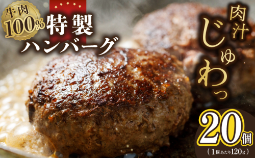 牛肉100％ 特製ハンバーグ 120g×20個 個包装 099H3405 2000865 - 大阪府泉佐野市