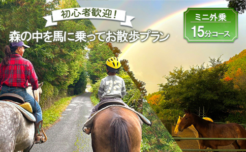 初心者歓迎 森の中を馬に乗ってお散歩プラン(15分)  ミニ外乗 体験 広島 安芸高田市 エオの谷 2000896 - 広島県安芸高田市