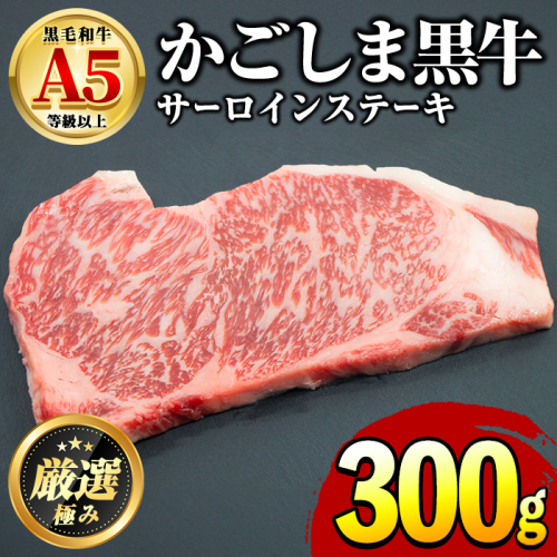 【0181710a】鹿児島県産黒毛和牛！A5等級サーロインステーキ(300g) 国産 牛肉 肉 冷凍 サーロイン 鹿児島 ステーキ 焼肉 BBQ バーベキュー 【前田畜産たかしや】 2000912 - 鹿児島県東串良町