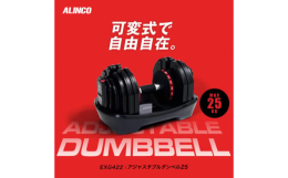 健康 美容 家電 美容家電 健康器具 運動 スポーツ ダイエット 減量 トレーニング エクササイズ フィットネス ボディケア ボディメイク ストレッチ 有酸素運動 有酸素 無酸素運動 脂肪燃焼 カロリ