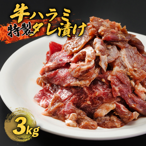 牛ハラミ 特製 タレ漬け 3kg 牛肉 牛 ハラミ 肉 味付 焼肉 焼き肉 冷凍 小分け 真空パック 簡単 調理 料理 カット 大人数用 熨斗 贈答 熨斗 御歳暮 お歳暮 ギフト