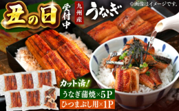 【配送について】---こちらの返礼品は土用丑の日までにお届けします！※ご希望の場合は、必ず備考欄に記入してください。●対象7/19までにお届け： 7/10までにご入金完了の方7/31までにお届け： 7