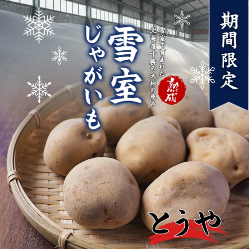 北海道産 熟成じゃがいも とうや4kg 期間限定 雪室貯蔵 十勝産 ジャガイモ じゃが芋 いも 甘い 2001751 - 北海道池田町