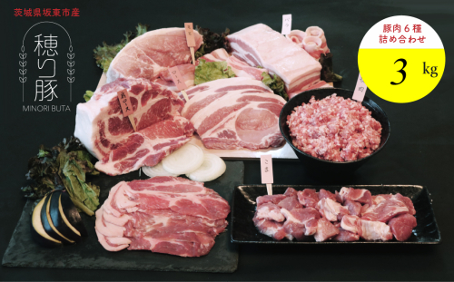 No.841 坂東市産の豚肉バラエティセット　約3kg ／ 背ロース 肩ロース バラ もも 小間切れ ひき肉 うま味 セット 茨城県 2001908 - 茨城県坂東市