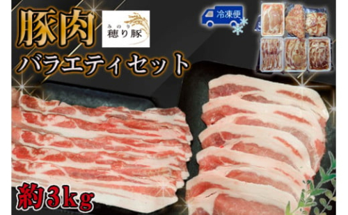 No.841 坂東市産の豚肉バラエティセット　約3kg ／ 背ロース 肩ロース バラ もも 小間切れ ひき肉 うま味 セット 茨城県 2001908 - 茨城県坂東市