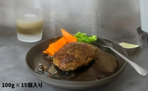 焼肉屋のハンバーグ100g×15個[F4635] 2001910 - 福岡県福津市