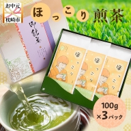 【お中元】ほっこり煎茶【100g×3袋】道野製茶(一番茶葉のみ使用) ギフト 贈り物 AA-842