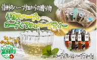 コーディアル 1本 と ハーブティー 1袋 セット 飯綱産 100% 使用 200ml 希釈用 ハーブ オーガニック 沖縄県への配送不可 飯綱ハーバルブリーズ 17500円 長野県 飯綱町 [1928]