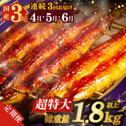 ≪定期便全3回≫4月・5月・6月お届け!!うなぎ蒲焼 超特大3尾 (総重量1.8kg以上) 鰻 魚 魚介 加工品 国産_T026-009 2002350 - 宮崎県都農町