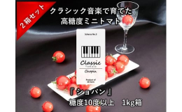 クラシック音楽で育てたClassic Tomato Chopin （クラシックトマト『ショパン』 ）1kg箱 x 2箱セットイメージ曲：Scherzo No.3糖度10度以上の秀品で『酸味とのバランス